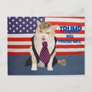 Trump Kitty Postcard