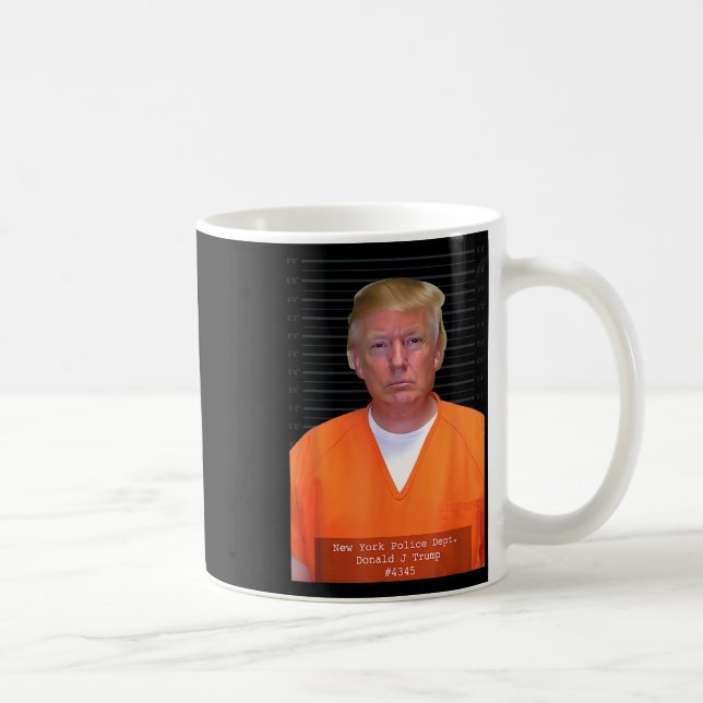 Trump Mug Shot Range Jumpsuit Parody Behind Bars  (Right)