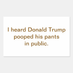Trump Pooped His Pants Public Hankamer Artjunkhaus Sticker