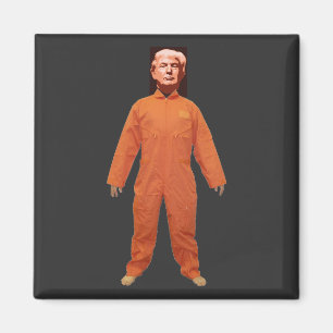 Trump Prisoner Magnet