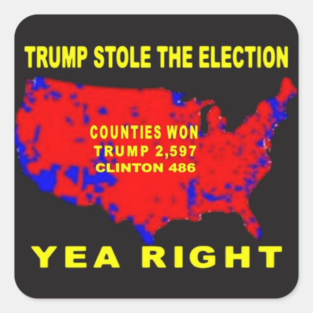 TRUMP STOLE THE ELECTION SQUARE STICKER (Front)