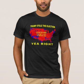 TRUMP STOLE THE ELECTION T-Shirt