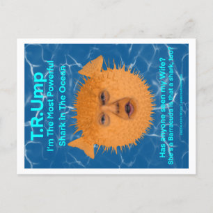 Trump The Blowfish  Postcard
