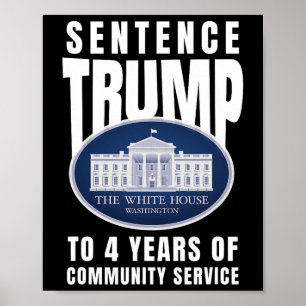 Trump To 4 Years Of Community Service 9 Poster