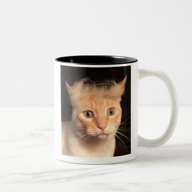 Trump votre tasse de chat (Droit)