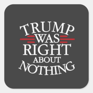 Trump Was Right About Nothing Anti-trump Democracy Square Sticker