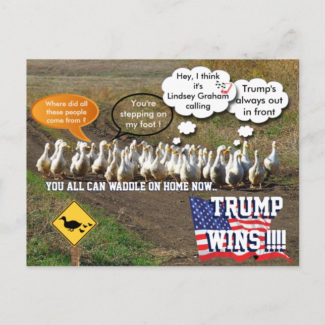 Trump wins postcard (Front)