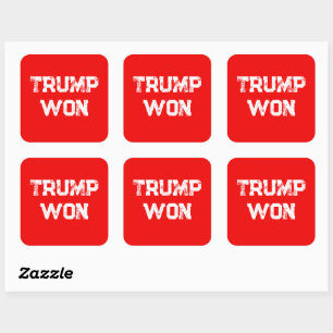 TRUMP WON   SQUARE STICKER