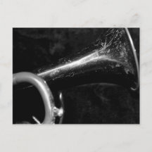 Trumpet Bell black and white