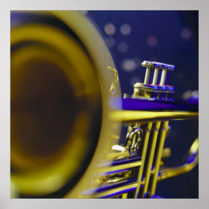 Trumpet Close-Up 3 Poster