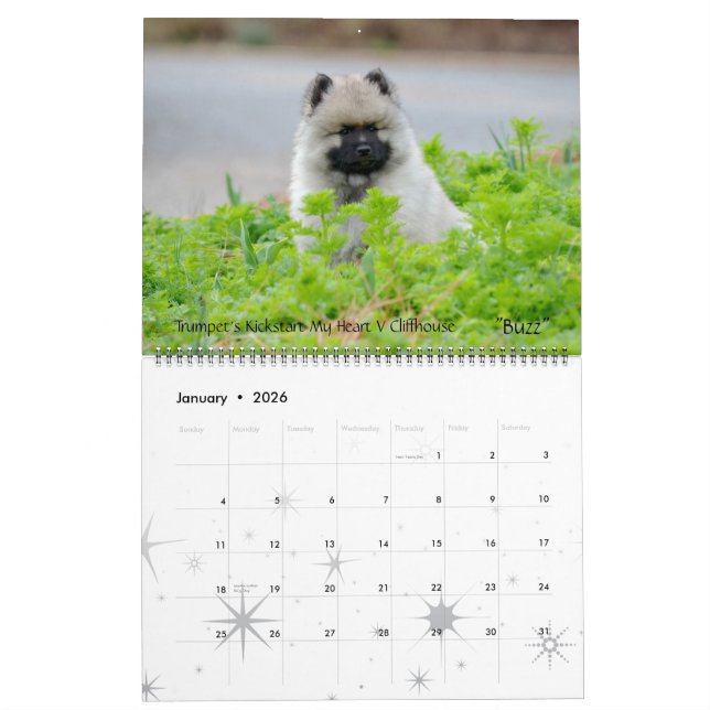 Trumpet Keeshond Calendar 2013-updated end of Dec (Jan 2026)