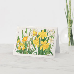Trumpet narcissus by Tanigami Konan Card
