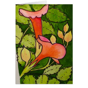 Trumpet Vine