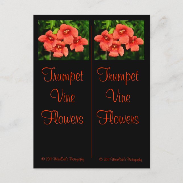 Trumpet Vine Bookmarks Postcard (Front)