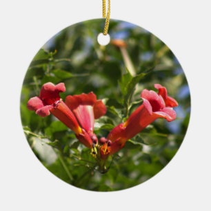 Trumpet Vine Flowers Ornament