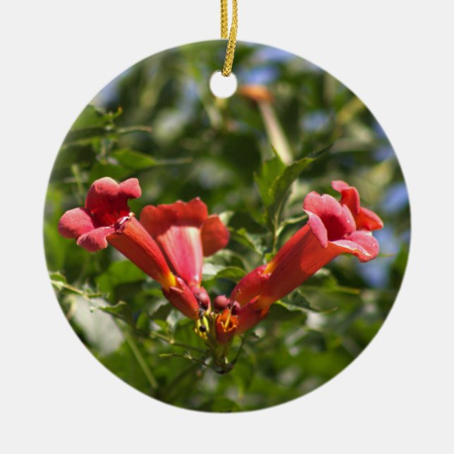 Trumpet Vine Flowers Ornament (Front)
