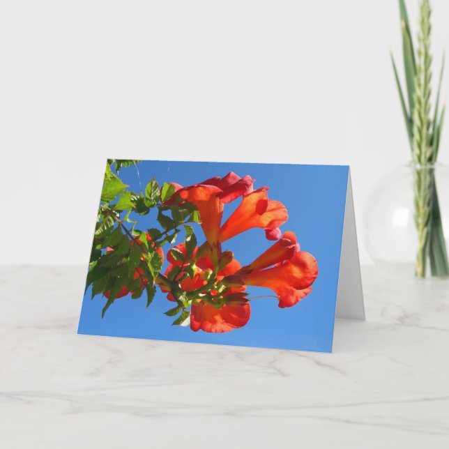 Trumpet vine & Honeysuckle Card (Front)