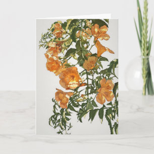 Trumpet Vine Watercolor Card