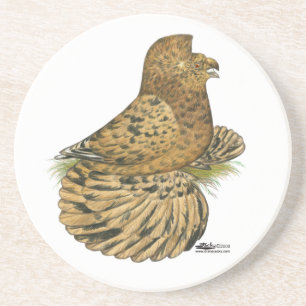 Trumpeter Pigeon Almond Coaster