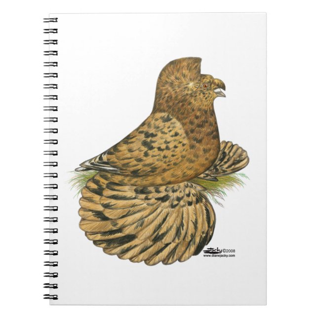 Trumpeter Pigeon Almond Notebook (Front)
