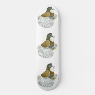 Trumpeter Pigeon AOC Baldhead Skateboard