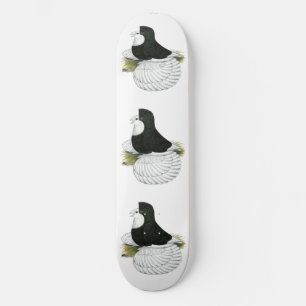 Trumpeter Pigeon Black Baldhead Skateboard
