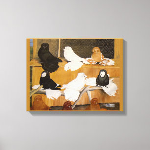 Trumpeter Pigeon Champions Canvas Print