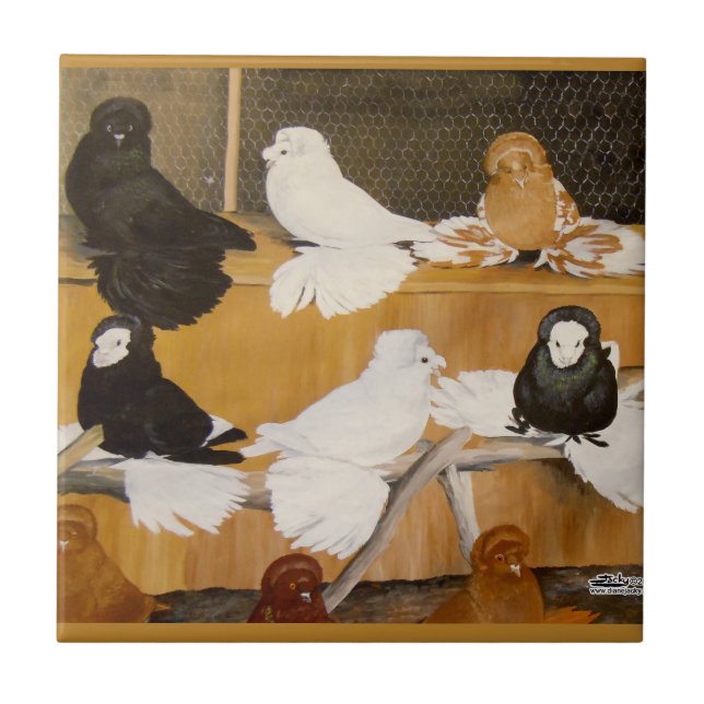 Trumpeter Pigeon Champions Tile (Front)