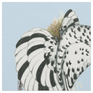 Trumpeter Pigeon Light Splash Fabric