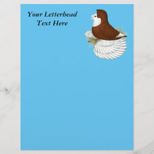 Trumpeter Pigeon Red Baldhead