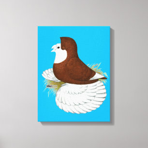 Trumpeter Pigeon Red Baldhead Canvas Print