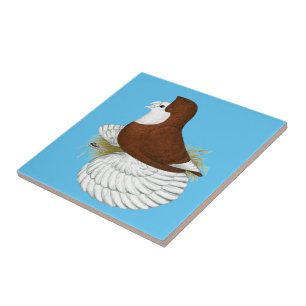 Trumpeter Pigeon Red Baldhead Tile