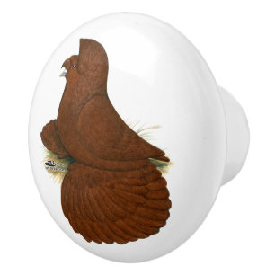 Trumpeter Pigeon Red Ceramic Knob