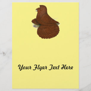 Trumpeter Pigeon Red Flyer