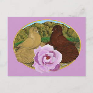 Trumpeter Pigeons and Rose Postcard
