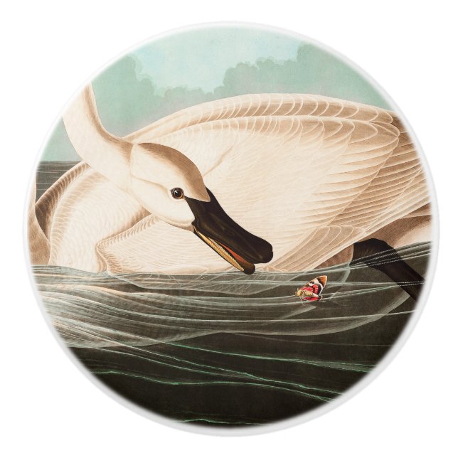 Trumpeter Swan and Butterfly Ceramic Knob (Front)