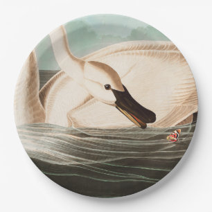 Trumpeter Swan and Butterfly Paper Plate