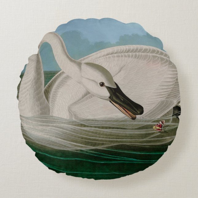 Trumpeter Swan Birds of America Audubon Print Round Pillow (Front)