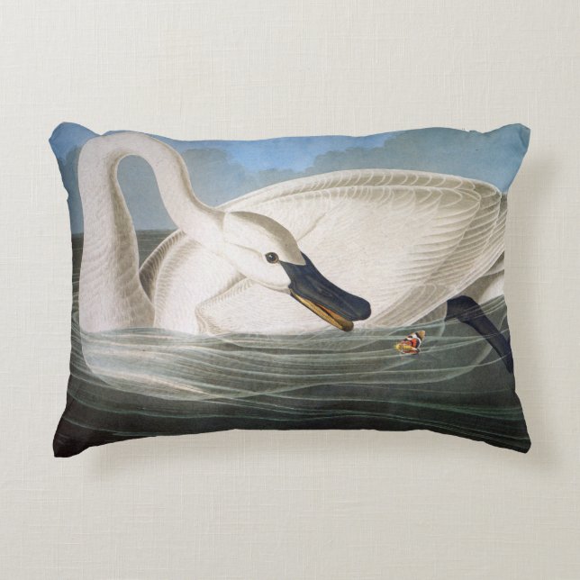 Trumpeter swan by John James Audubon Accent Pillow (Front)