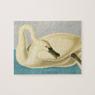 Trumpeter Swan by John James Audubon, Vintage Bird Jigsaw Puzzle