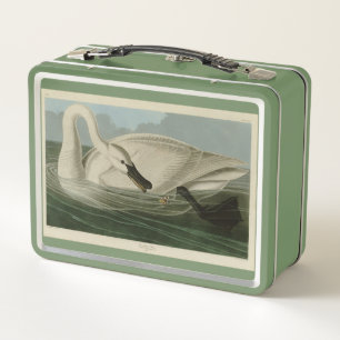Trumpeter Swan - from Audubon's Birds of America Metal Lunch Box