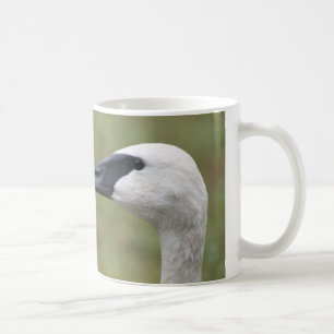 Trumpeter Swan mug