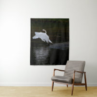 Trumpeter Swan