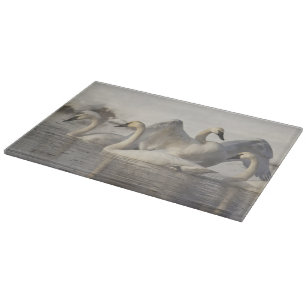 Trumpeter Swans in the Madison River in winter Cutting Board
