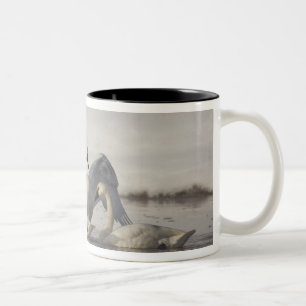 Trumpeter Swans in the Madison River in winter Two-Tone Coffee Mug