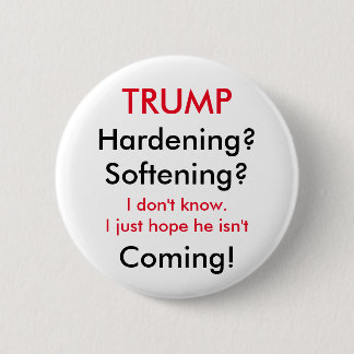 Trump's Stance on Immigration 2 Inch Round Button