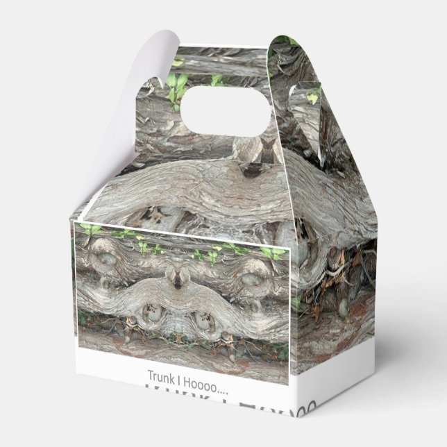 Trunk I Hooo... Favor Box (Front Side)