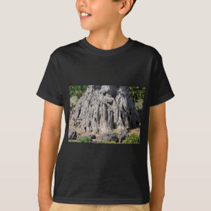 Trunk of old dragon tree at Tenerife T-Shirt