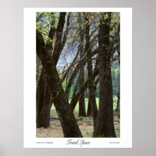 Trunk Space Prints