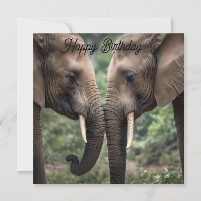 "Trunk to Trunk: A Gentle Elephant Embrace"  (Front)